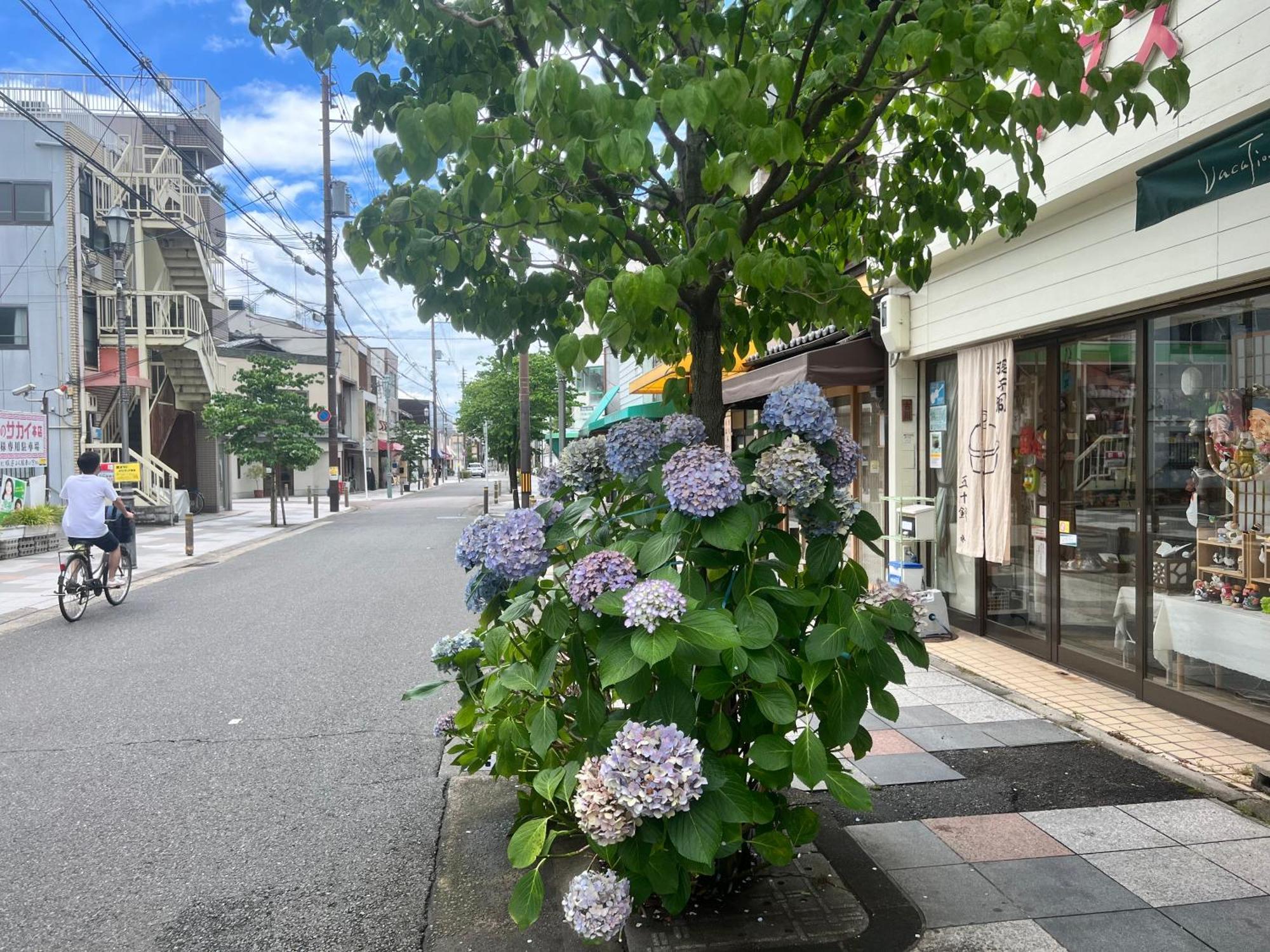 Yamagata KYOMACHI HATAGO DAITOKUJI Kyoto Eksteriør billede